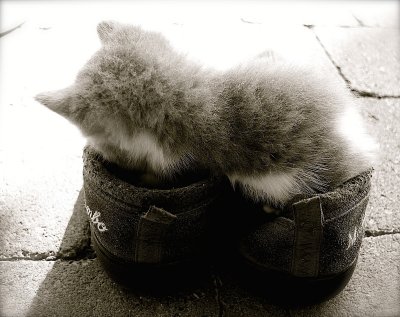 slipper comfort
