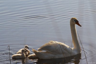Happy Mother's Day!