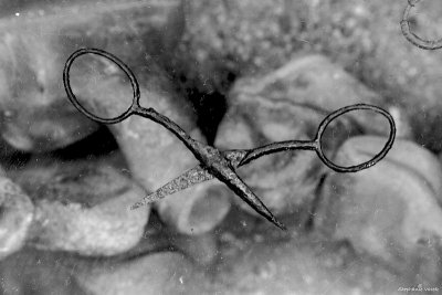 Scissors
