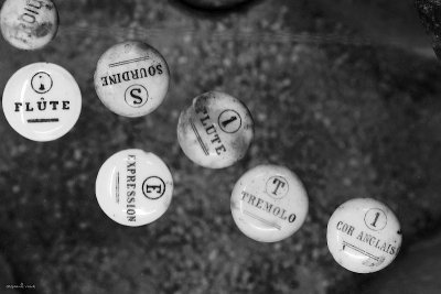 Organ buttons and wine corkscrews