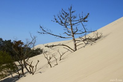 Encroachment