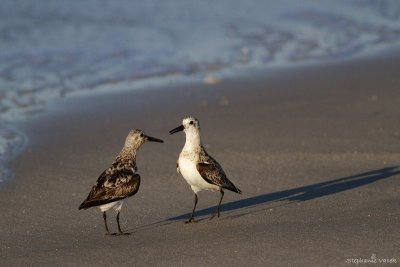 Standoff