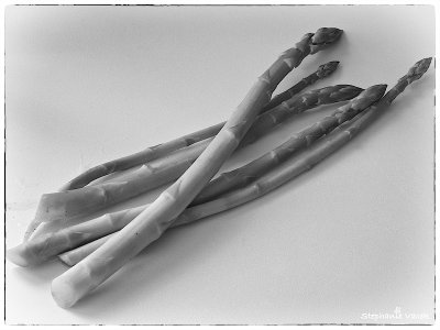 Homegrown asparagus