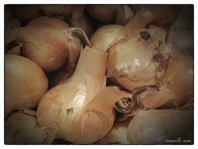 Onion