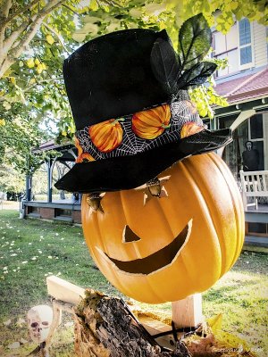 Pumpkin portal