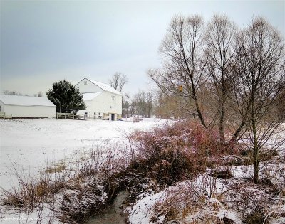 The farm