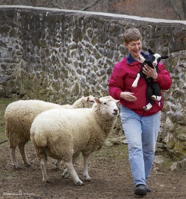 The sheep lady