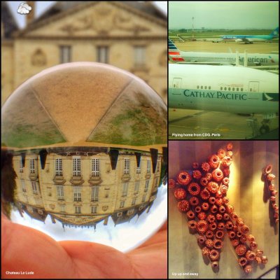 France 2015 and 2016 Collages