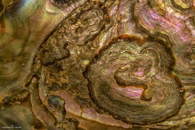 Swirled
