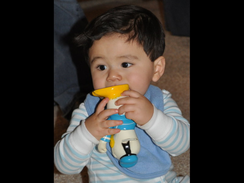 DSC_0969b.jpg