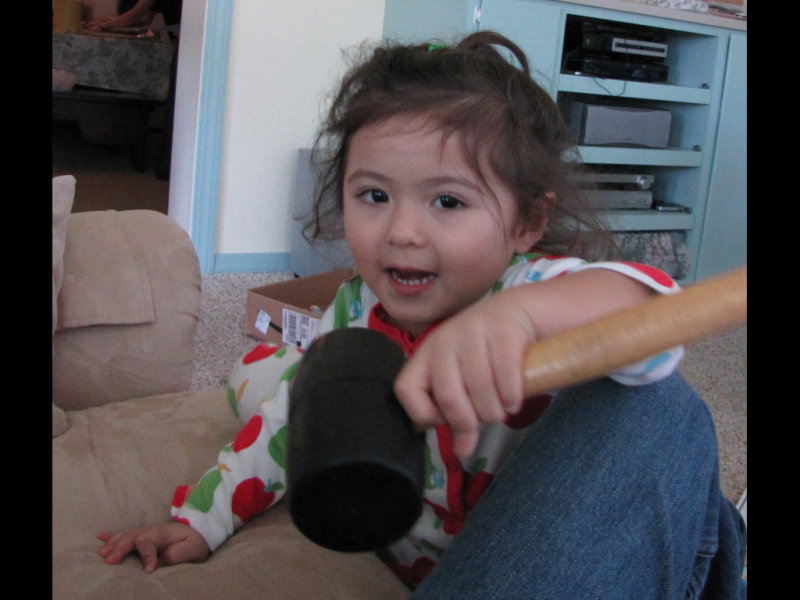 IMG_3564b.jpg