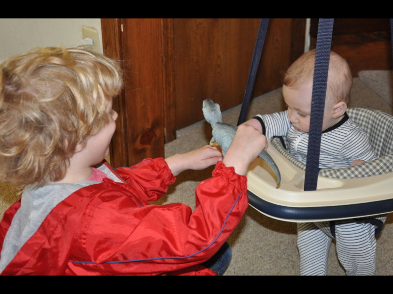 DSC_1494b.jpg