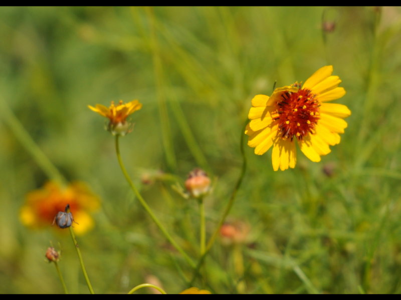 DSC_0278b.JPG