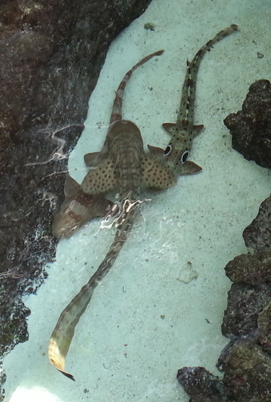 20140726_110327b.jpg