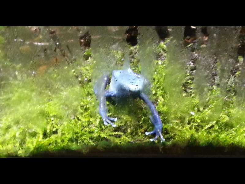 20140726_113336b.jpg