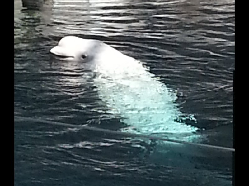 20140726_113910b.jpg
