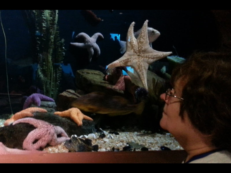 20140726_123221b.jpg