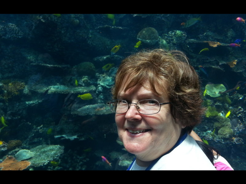 20140726_142553b.jpg
