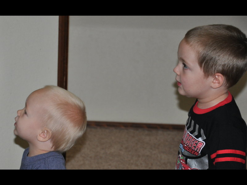 DSC_0536p.JPG