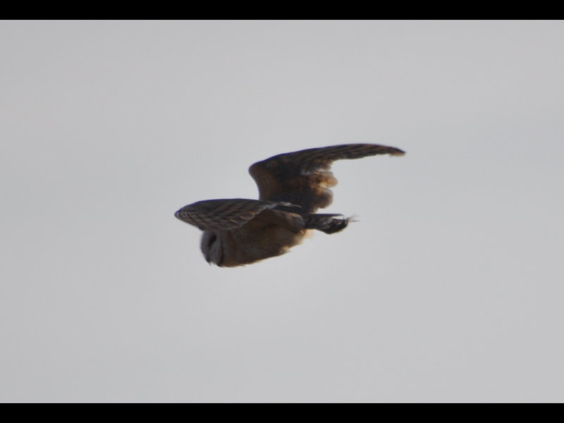 DSC_1209b.JPG