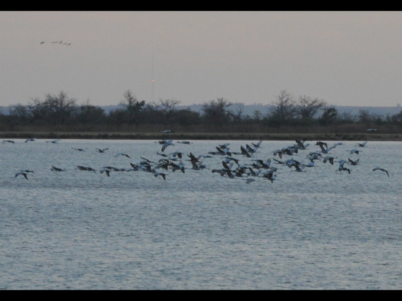 DSC_1253b.JPG