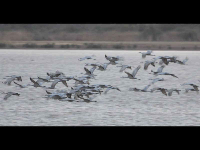 DSC_1256b.JPG