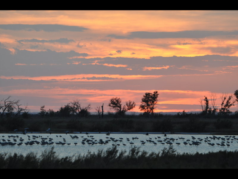 DSC_1271b.JPG
