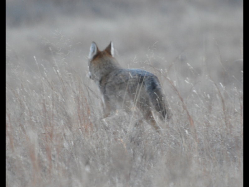 DSC_1762m.JPG
