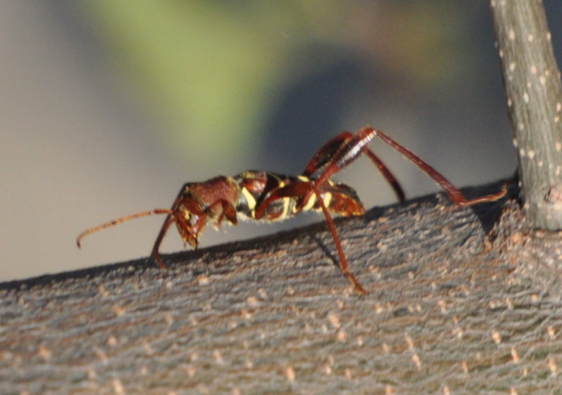 DSC_1348a.JPG