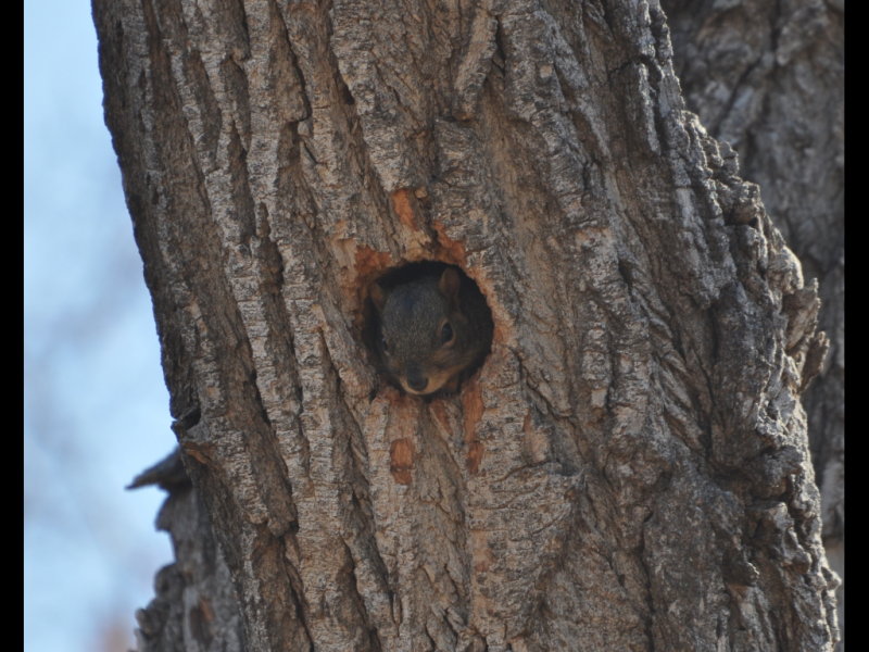 DSC_0248b.JPG