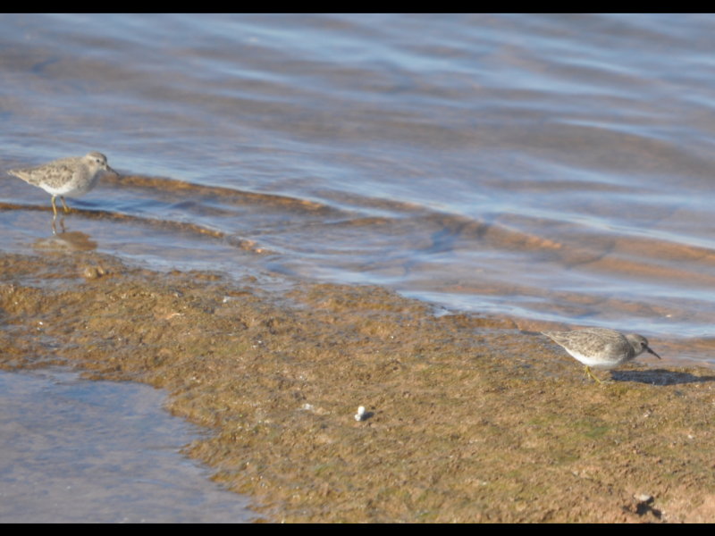 DSC_0404b.JPG