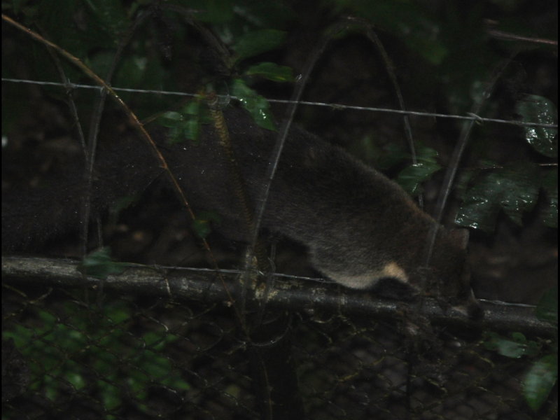 DSC_0827b.JPG