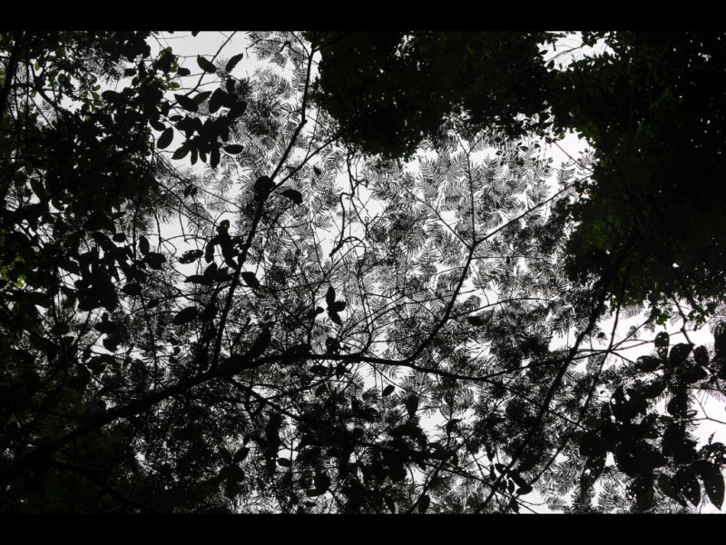 DSC_0020b.JPG