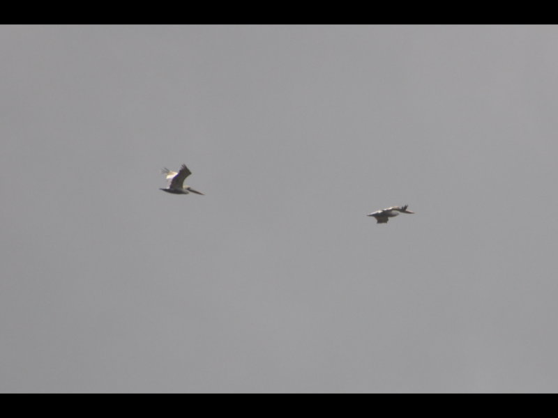 DSC_0189b.JPG
