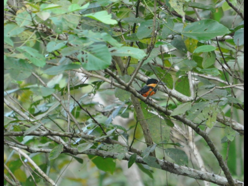 DSC_0465b.JPG