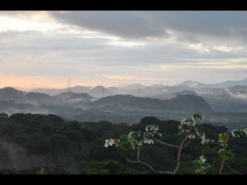 DSC_0010b.JPG