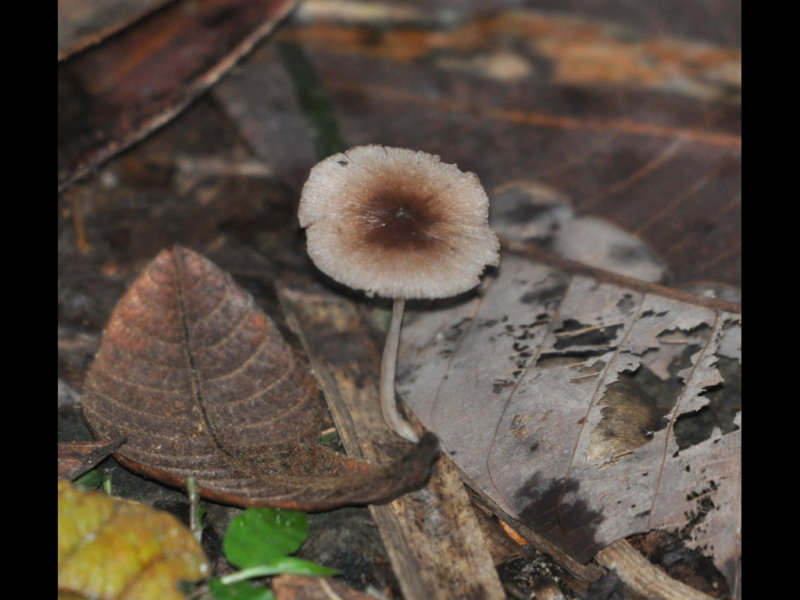 DSC_0032b.JPG