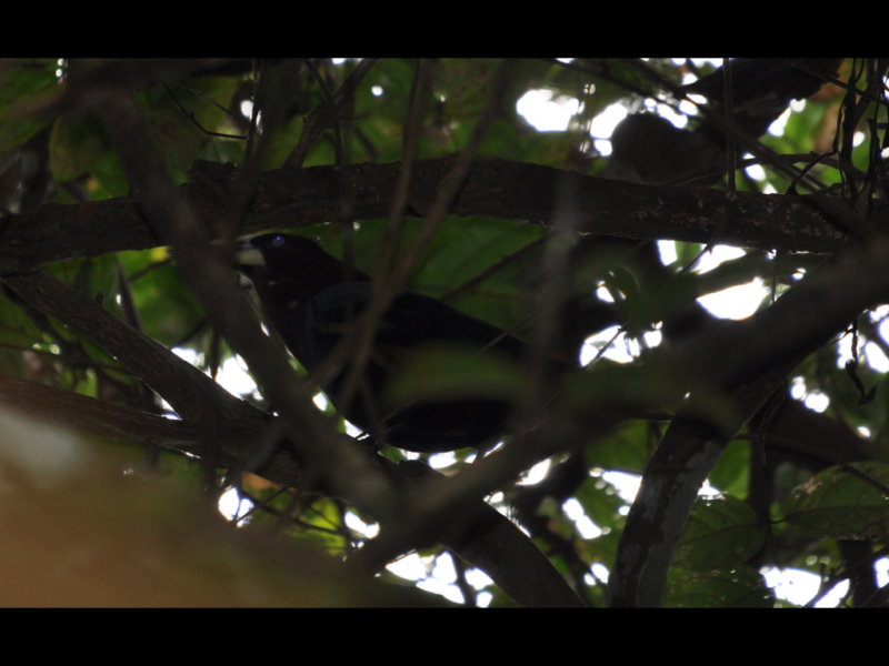 DSC_0288b.JPG