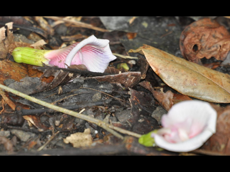 DSC_0299b.JPG