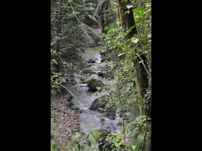 DSC_0300b.JPG