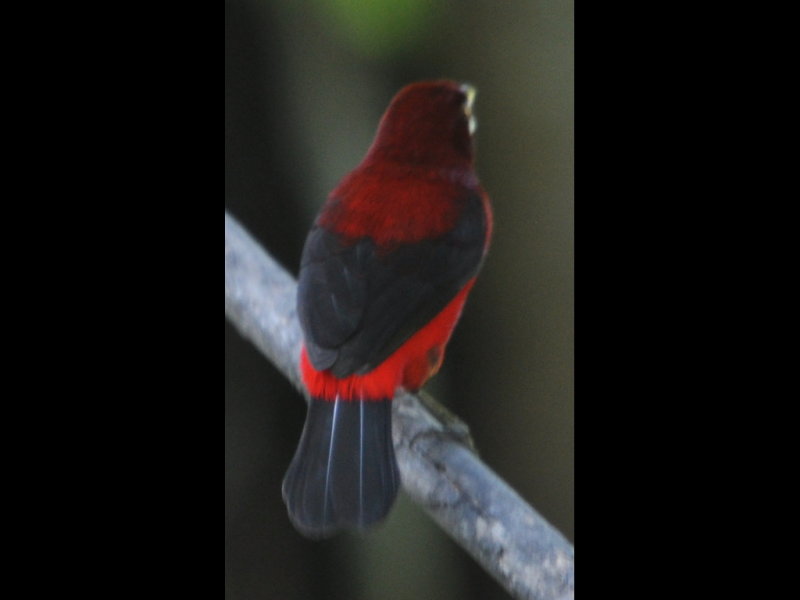 DSC_0759b.JPG