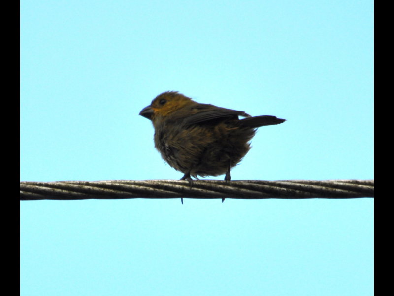 DSC_0190b.JPG