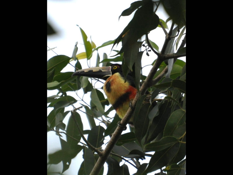DSC_0348b.JPG