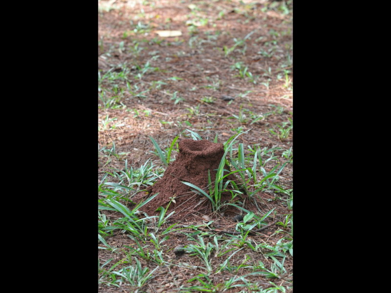 DSC_0321b.JPG
