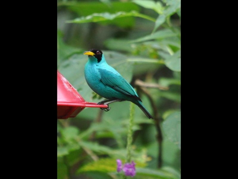 DSC_0439b.JPG