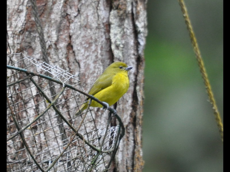 DSC_0460b.JPG