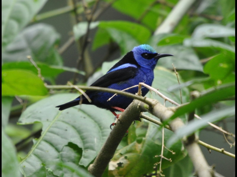 DSC_0564b.JPG