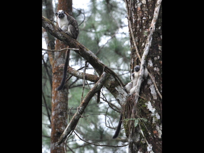 DSC_0644b.JPG