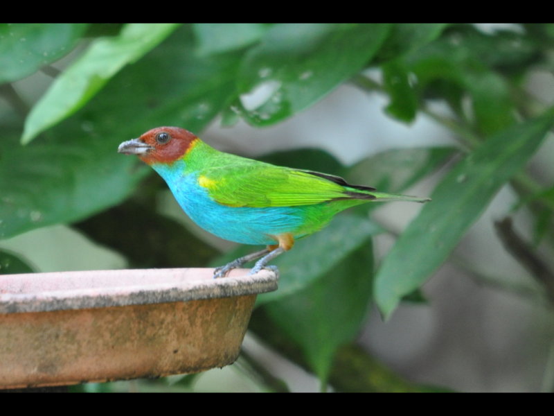 DSC_0822b.JPG