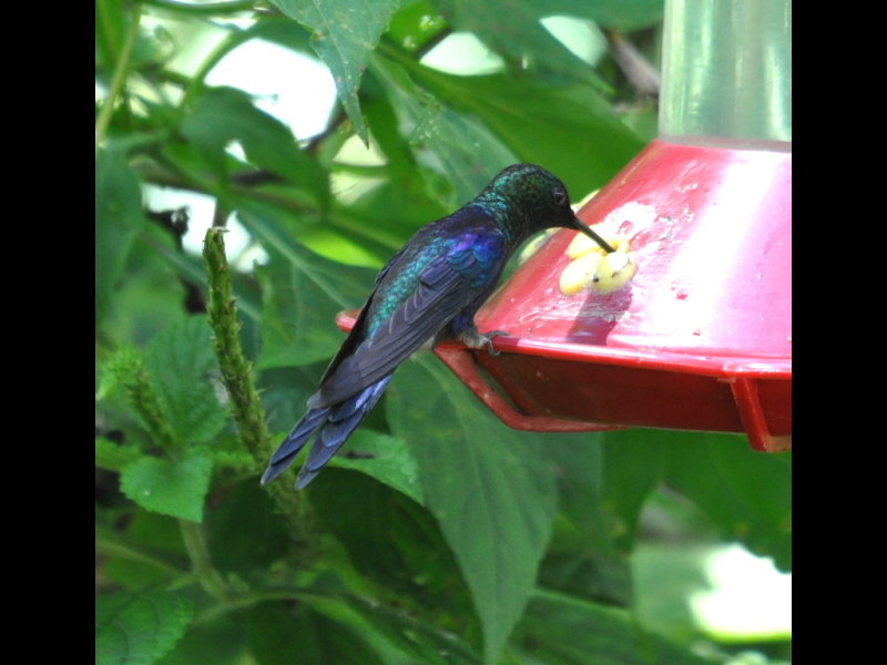 DSC_0859b.JPG